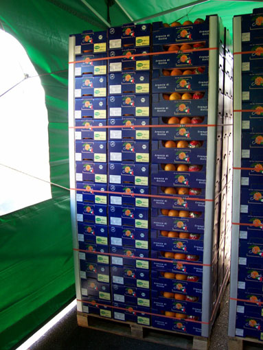 Pallet of oranges ready for transport